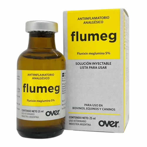 FLUMEG INY X 100 ML OVER