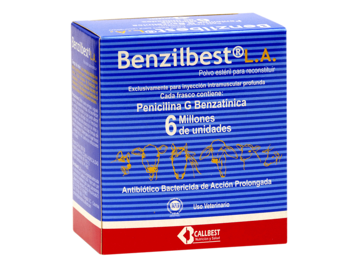 BENZILBEST L.A. X 6´000 REPETIDO