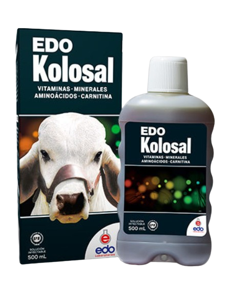 EDO KOLOSAL 500 ML