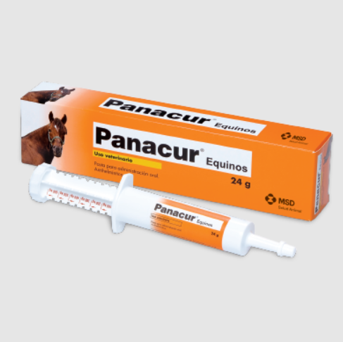 PANACUR EQUINO JERINGA 24 ML MSD