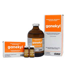 GANEKYL X 100ML OVER