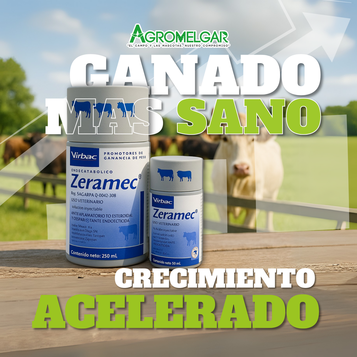 ZERAMEC X 250 CC VIRBAC