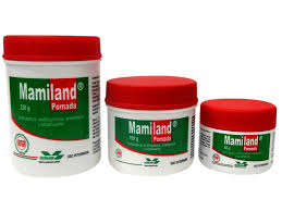 MAMILAND POTE X 60 G VETERLAND