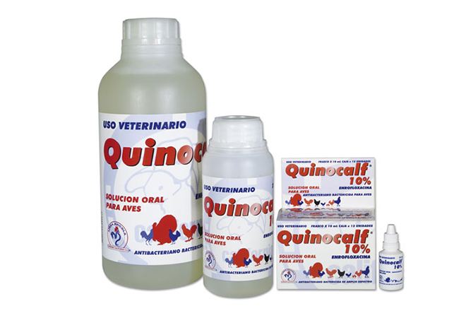 AVES AVES 10% X 1000 CC CALIFORNIA