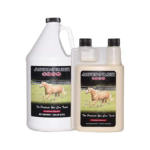 ACTI FLEX 4000 - 946 ML