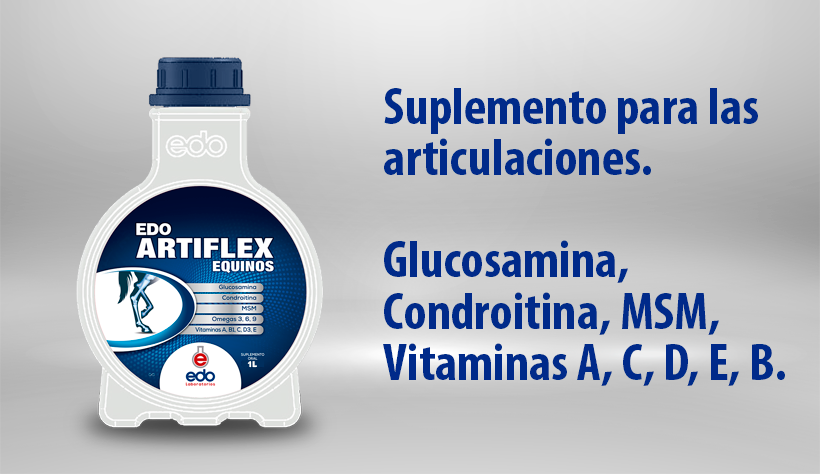 EDO ARTIFLEX EQUINOS X 1000 ML