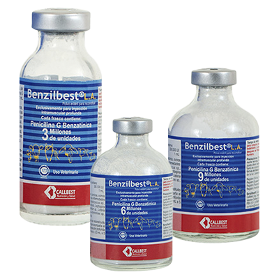 BENZILBEST L.A. CALLBEST AGREGAR LA REFERENCIA DE 6MILLO