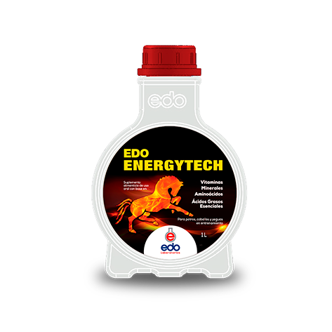 EDO ENERGYTECH X 1000 ML