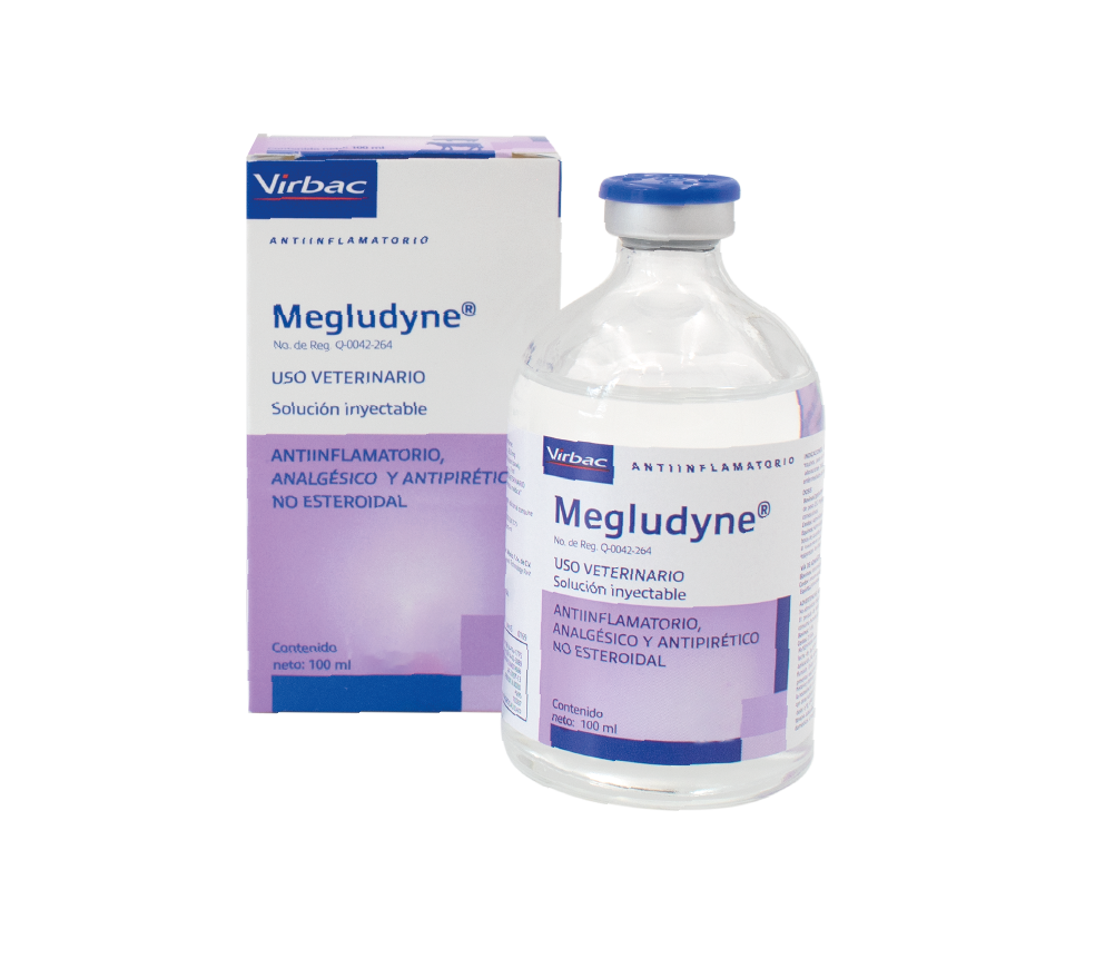MEGLUDYNE X 100 ML VIRBAC