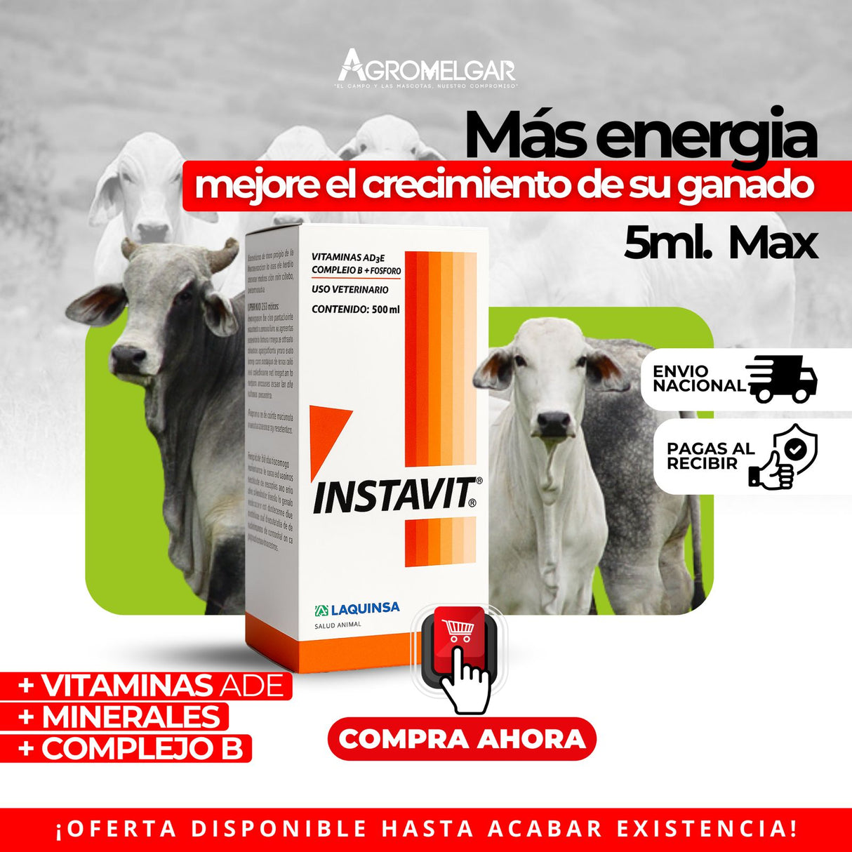 INSTAVIT SUPLEMENTO VITAMINICO Y MINERAL