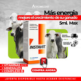 INSTAVIT SUPLEMENTO VITAMINICO Y MINERAL