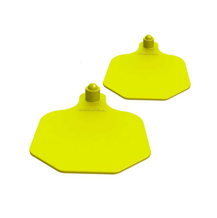 ARETE CHAPETA (OREJERA)  CON NUMERO
