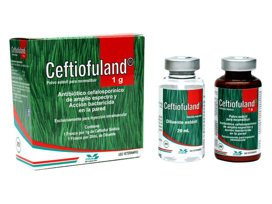 CEFTIOFULAND X 1 GR VETERLAND REPETIDO  MISMA CONCENTRACION 4GR