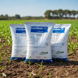 Lorsban SK 2.5% DP – Insecticida Agrícola Polvo Seco (DP)