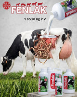 FENLAK VICAR