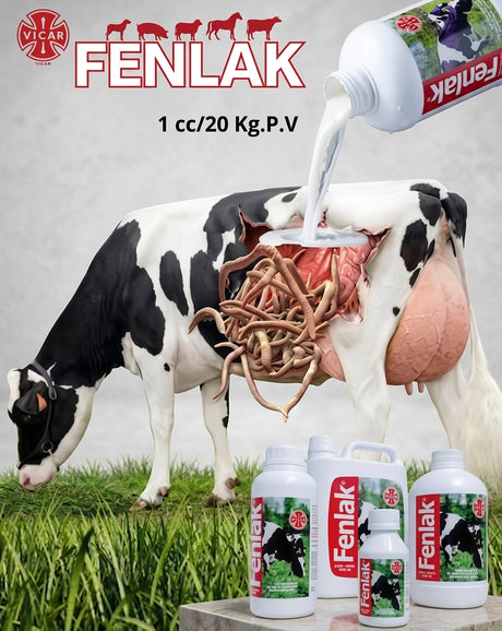 FENLAK VICAR