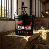 VITALYSINE
