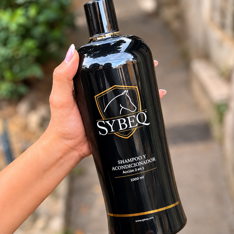 SHAMPOO 2 EN 1  X LT SYBEQ