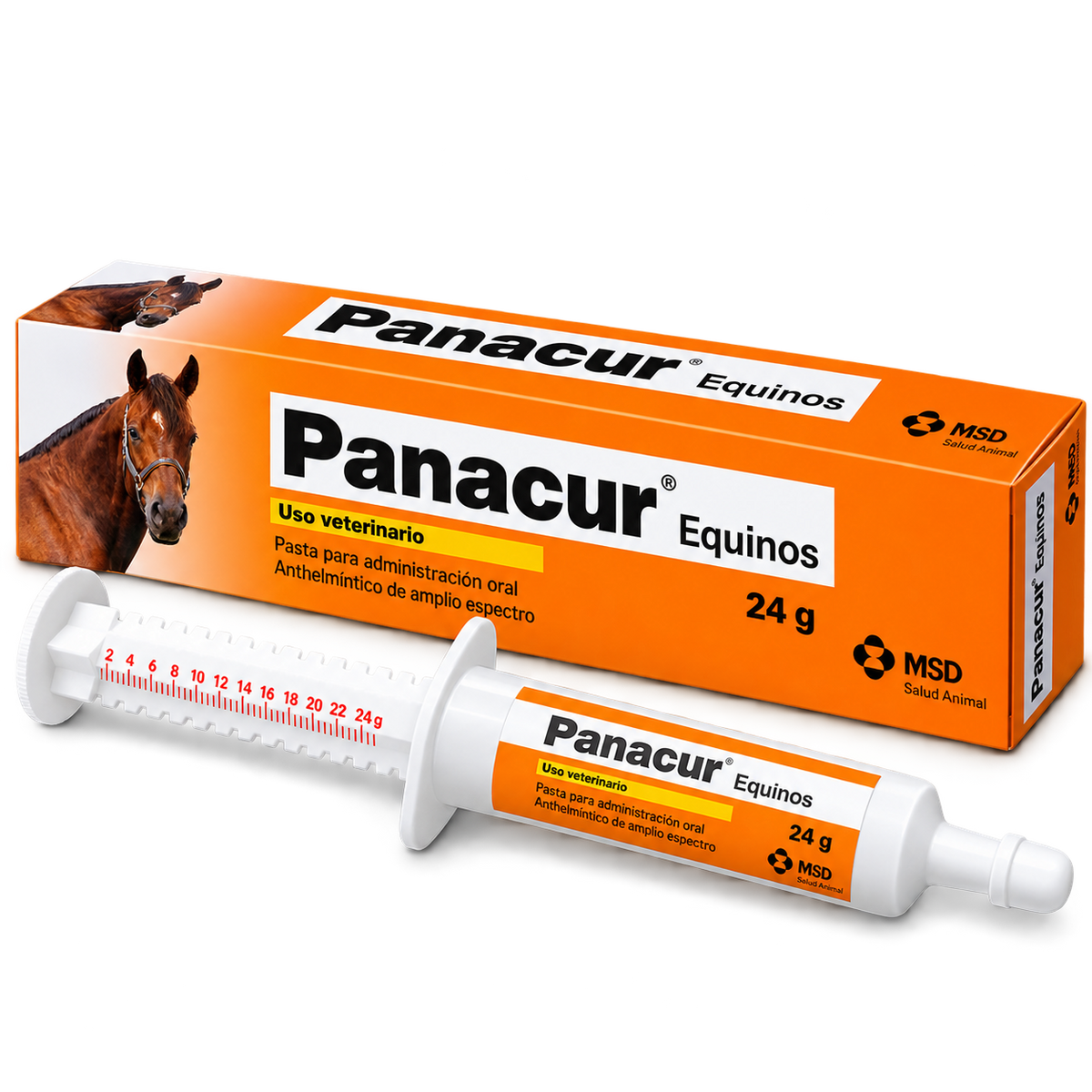 PANACUR EQUINO JERINGA 24 ML MSD