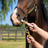 PANACUR EQUINO JERINGA 24 ML MSD