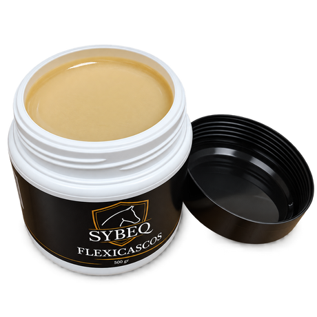 FLEXICASCOS - 500 GR  SYBEQ