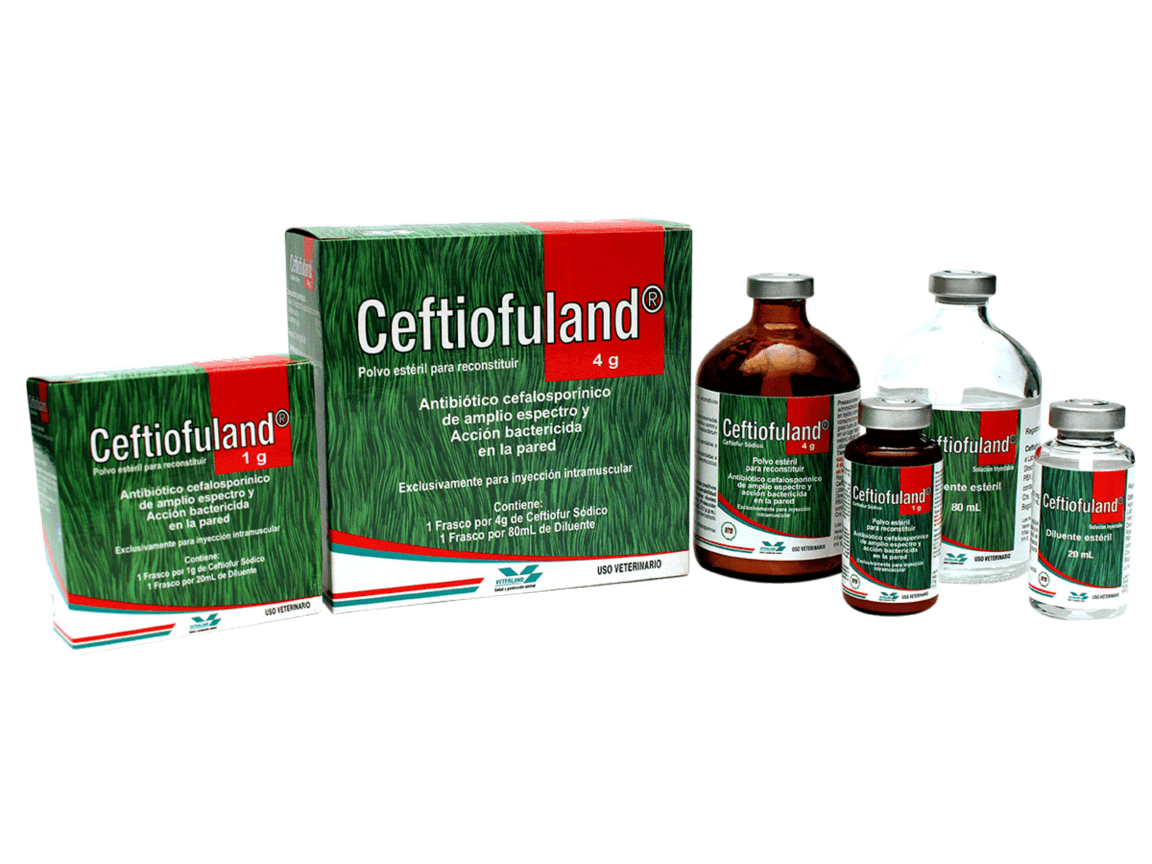 CEFTIOFULAND X 4 GR VETERLAND AGREGAR EL DE 1GR