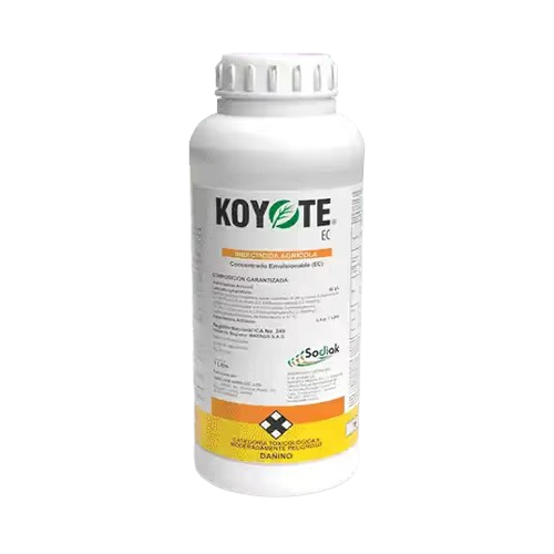 KOYOTE SODIAK