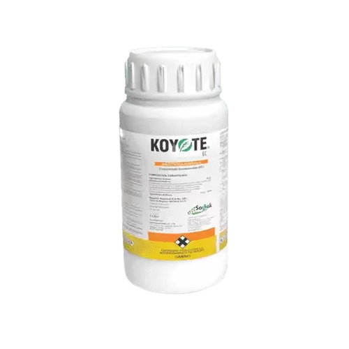 KOYOTE SODIAK
