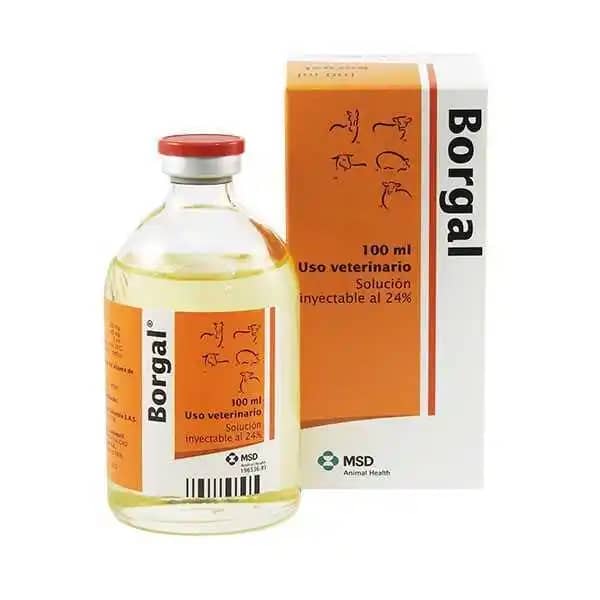 BORGAL X 100 ML MSD